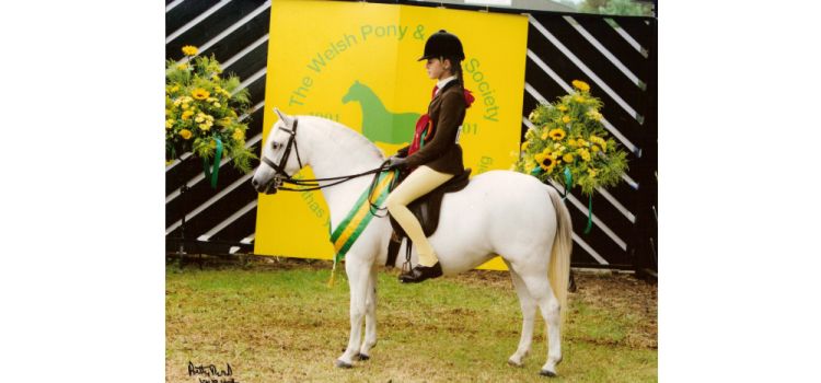 Heniarth Quail, Supreme Ridden Champion W.P.C.S. Centenary Show 2002